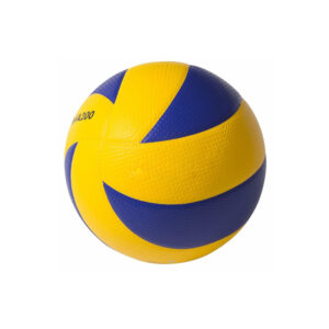 Volley Ball