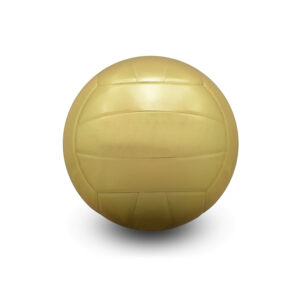 Volley Ball